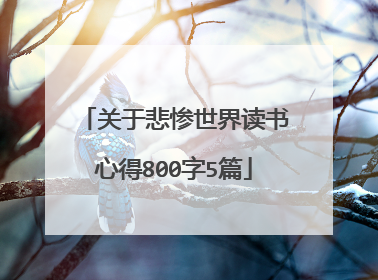 关于悲惨世界读书心得800字5篇