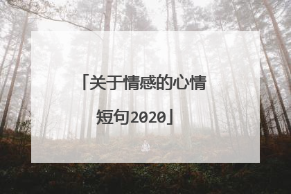 关于情感的心情短句2020