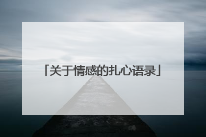 关于情感的扎心语录