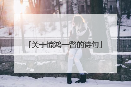 关于惊鸿一瞥的诗句