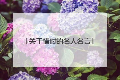 关于惜时的名人名言
