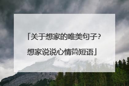 关于想家的唯美句子? 想家说说心情简短语