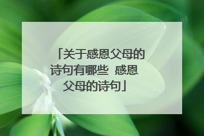 关于感恩父母的诗句有哪些 感恩父母的诗句