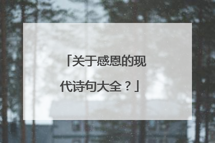 关于感恩的现代诗句大全？