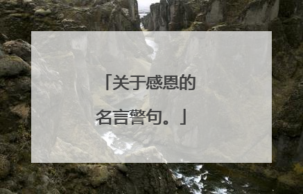 关于感恩的名言警句。