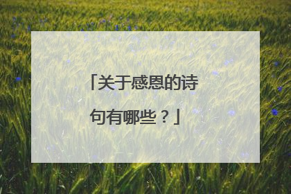 关于感恩的诗句有哪些？