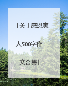 关于感恩家人500字作文合集