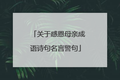 关于感恩母亲成语诗句名言警句