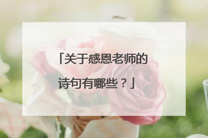 关于感恩老师的诗句有哪些？