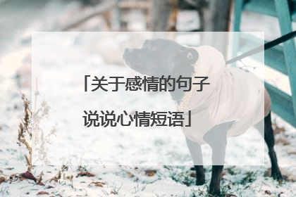 关于感情的句子说说心情短语