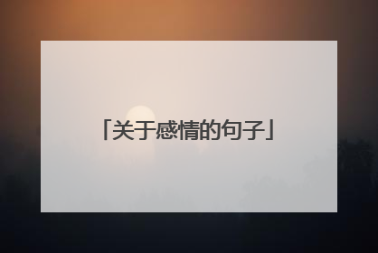 关于感情的句子