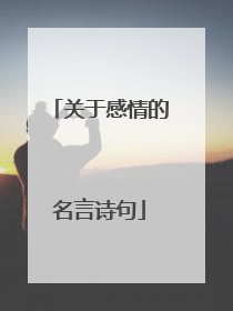 关于感情的名言诗句