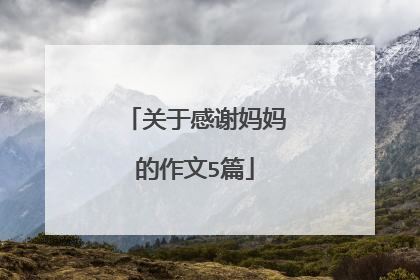 关于感谢妈妈的作文5篇