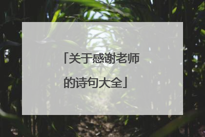 关于感谢老师的诗句大全