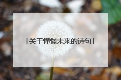 关于憧憬未来的诗句