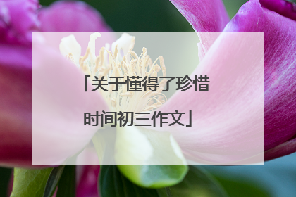 关于懂得了珍惜时间初三作文