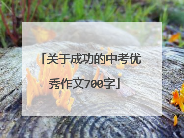 关于成功的中考优秀作文700字