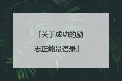 关于成功的励志正能量语录