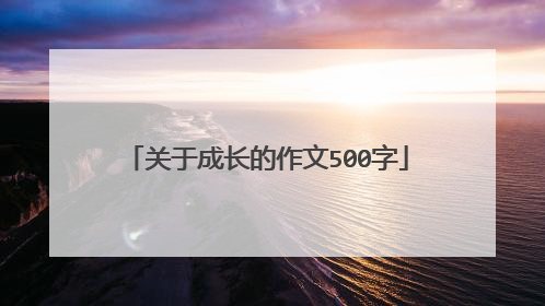 关于成长的作文500字