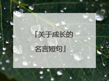 关于成长的名言短句