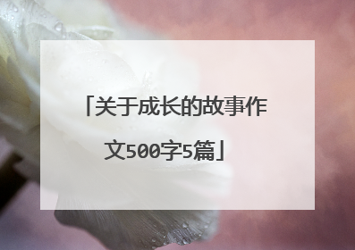 关于成长的故事作文500字5篇