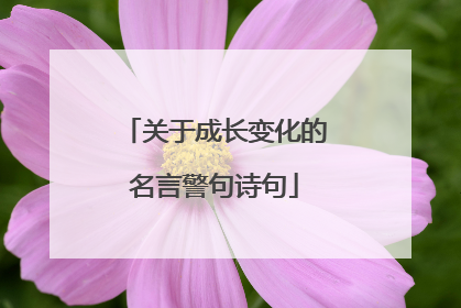 关于成长变化的名言警句诗句