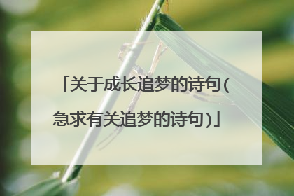 关于成长追梦的诗句(急求有关追梦的诗句)
