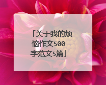 关于我的烦恼作文500字范文5篇