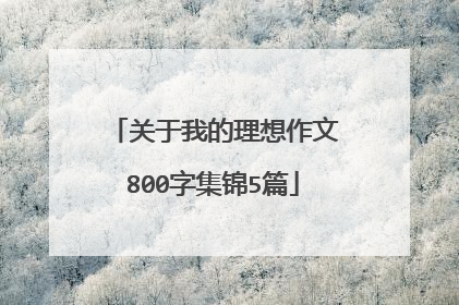 关于我的理想作文800字集锦5篇