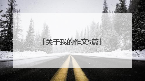 关于我的作文5篇