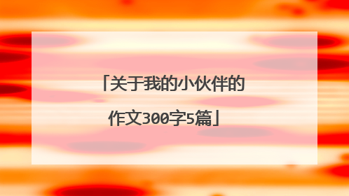 关于我的小伙伴的作文300字5篇