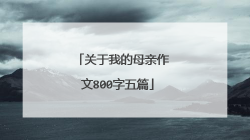 关于我的母亲作文800字五篇