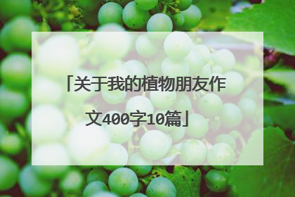 关于我的植物朋友作文400字10篇