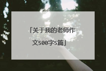 关于我的老师作文500字5篇