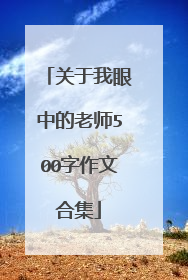 关于我眼中的老师500字作文合集