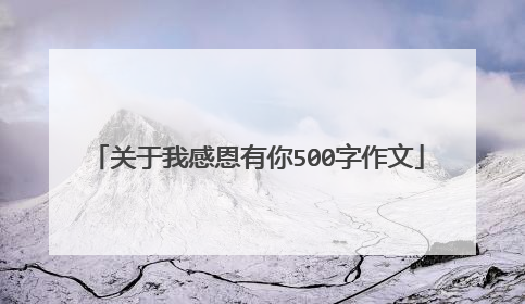 关于我感恩有你500字作文