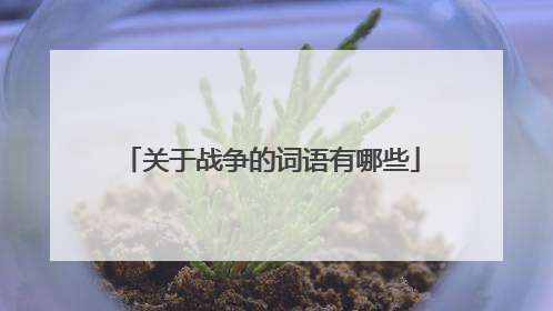 关于战争的词语有哪些