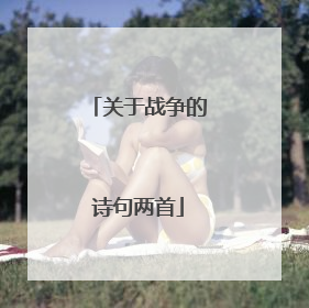 关于战争的诗句两首