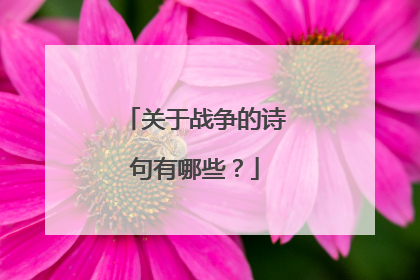 关于战争的诗句有哪些？
