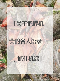 关于把握机会的名人语录，抓住机遇