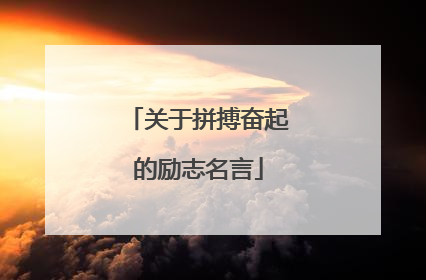 关于拼搏奋起的励志名言