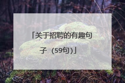 关于招聘的有趣句子 (59句)