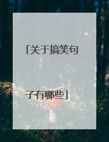 关于搞笑句子有哪些