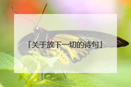 关于放下一切的诗句