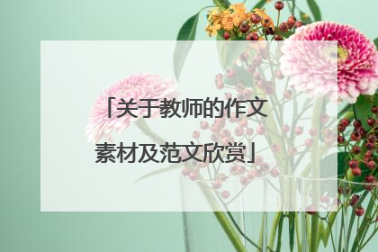 关于教师的作文素材及范文欣赏