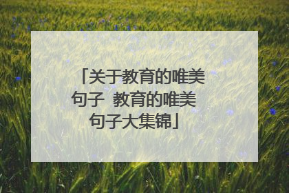 关于教育的唯美句子 教育的唯美句子大集锦