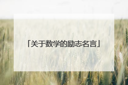 关于数学的励志名言