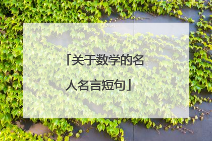 关于数学的名人名言短句