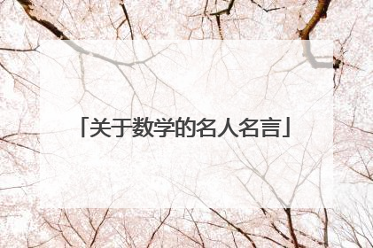 关于数学的名人名言