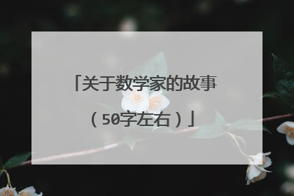 关于数学家的故事（50字左右）